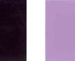 Pigmen-violet-29-Color